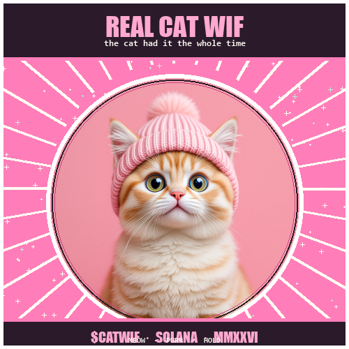 $CATWIF